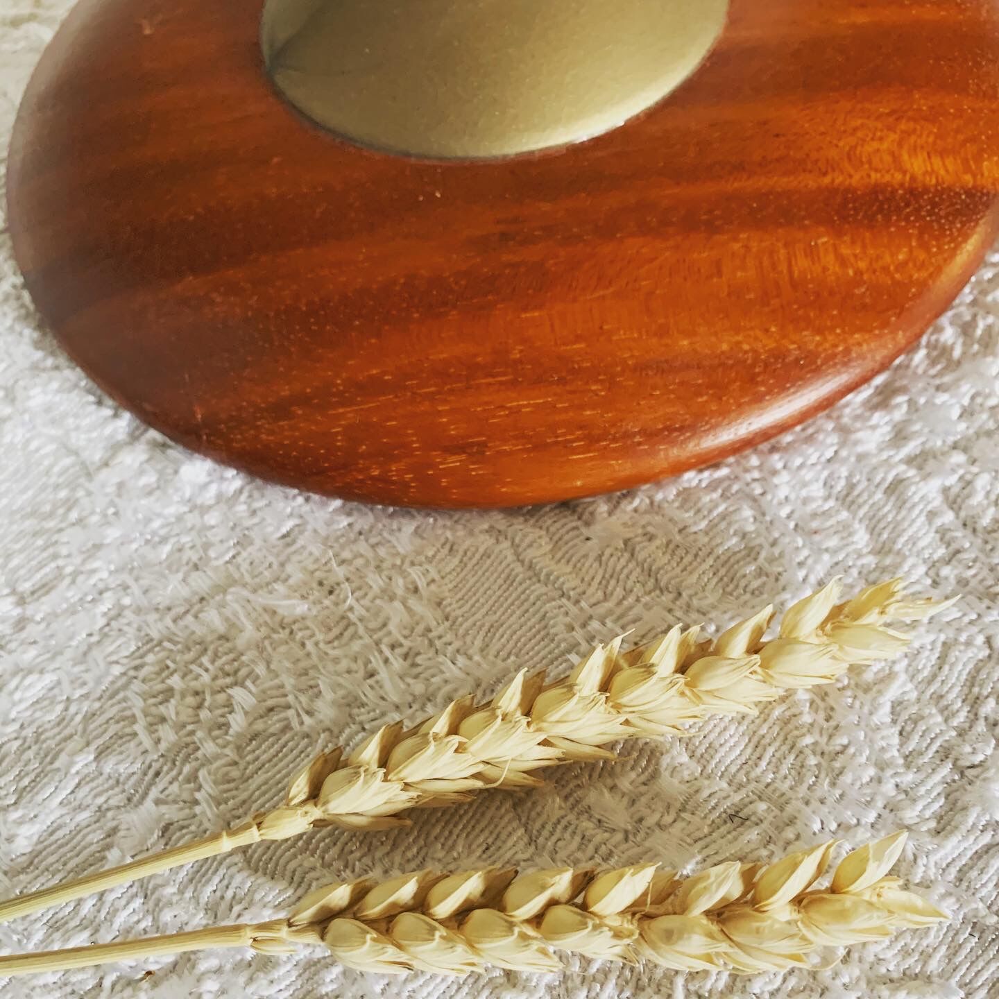 1990 Globe Nova Rico