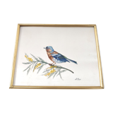 Golden frame bird