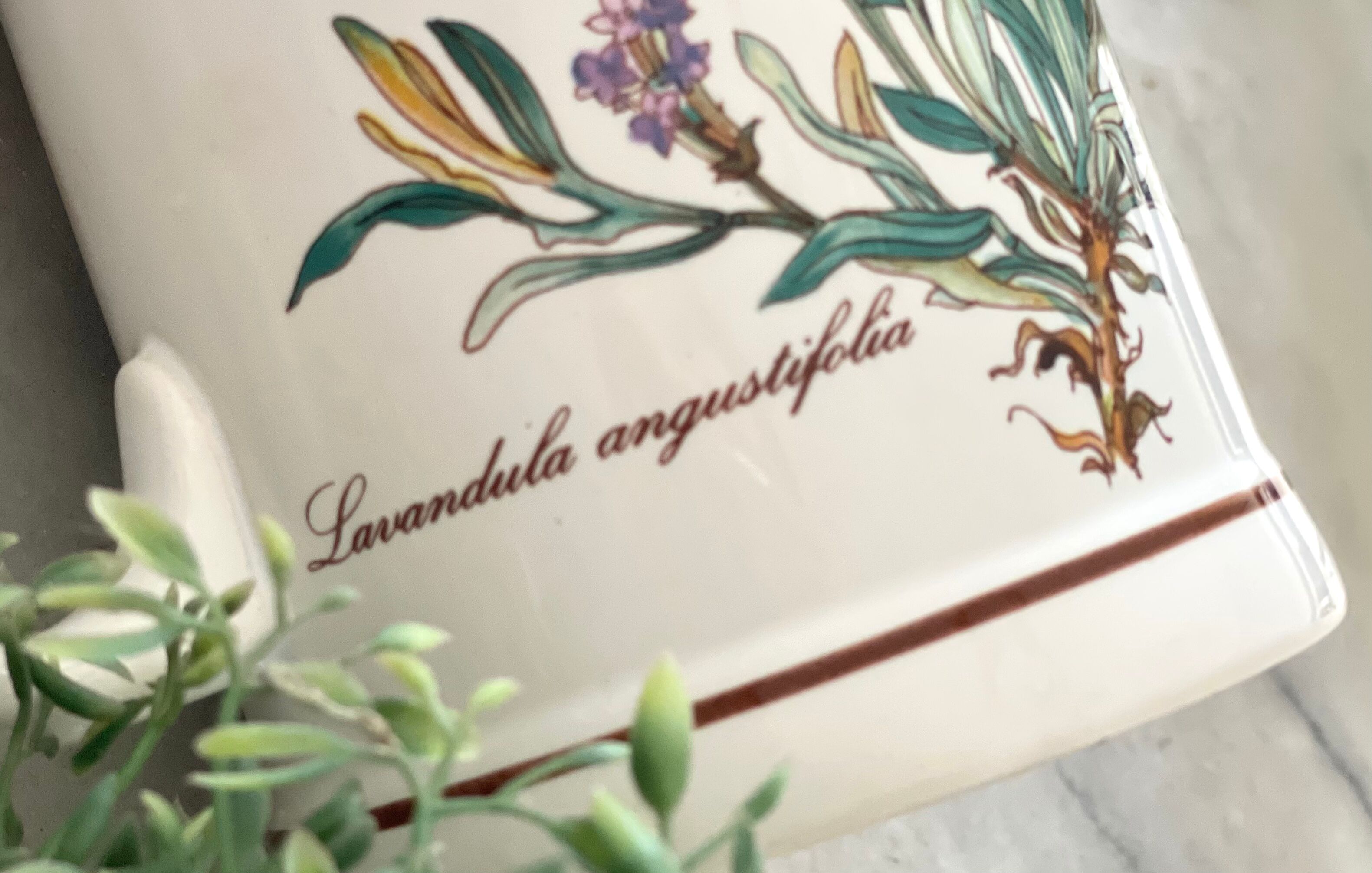 Pot Villeroy&Boch Botanica