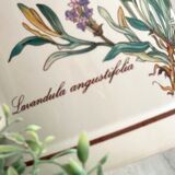 Pot Villeroy&Boch Botanica