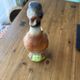 Pichet canard en barbotine