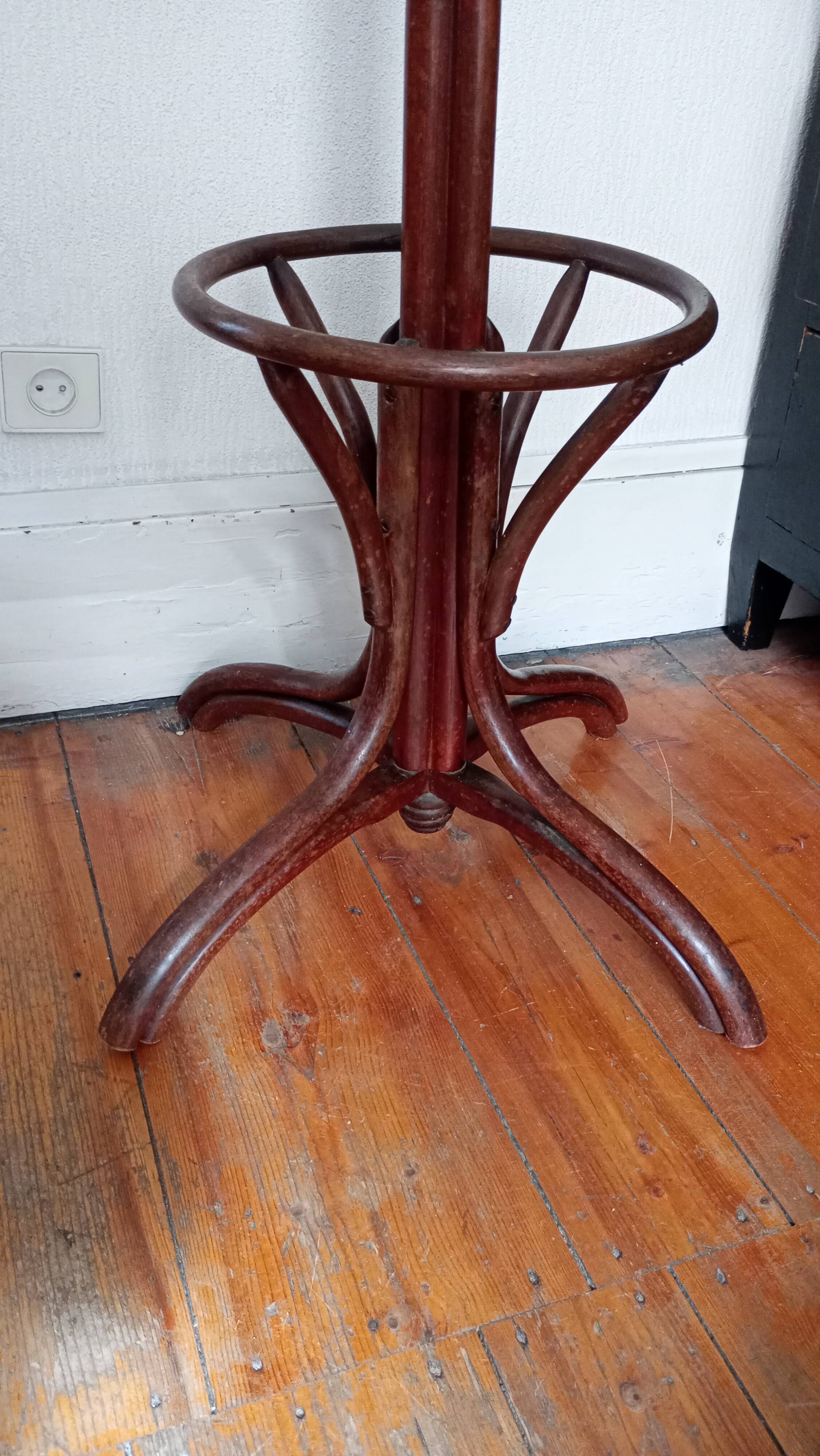 Old parrot coat rack