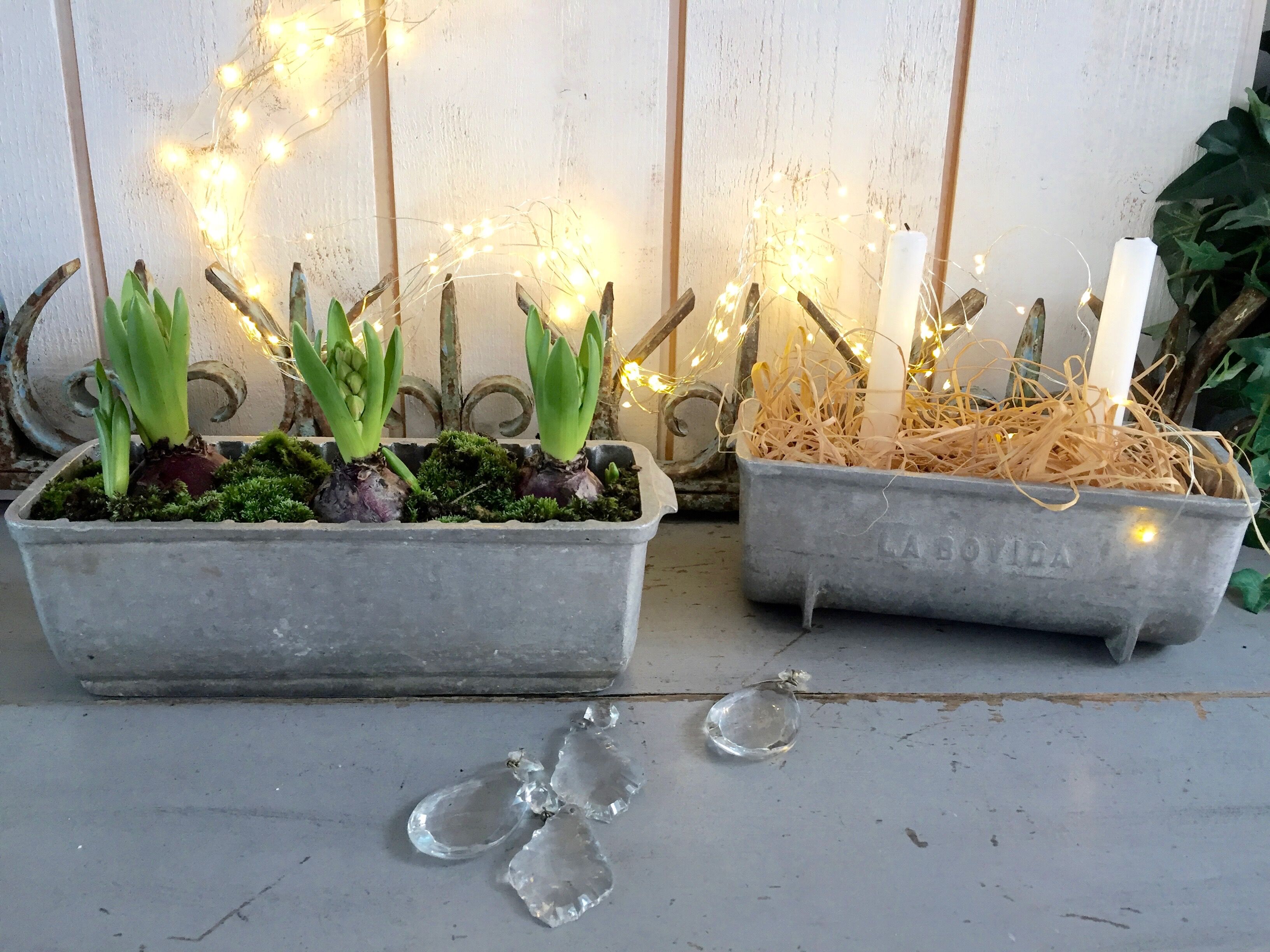 Pair of stainless steel planters