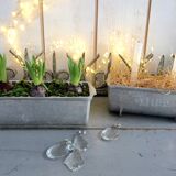 Pair of stainless steel planters