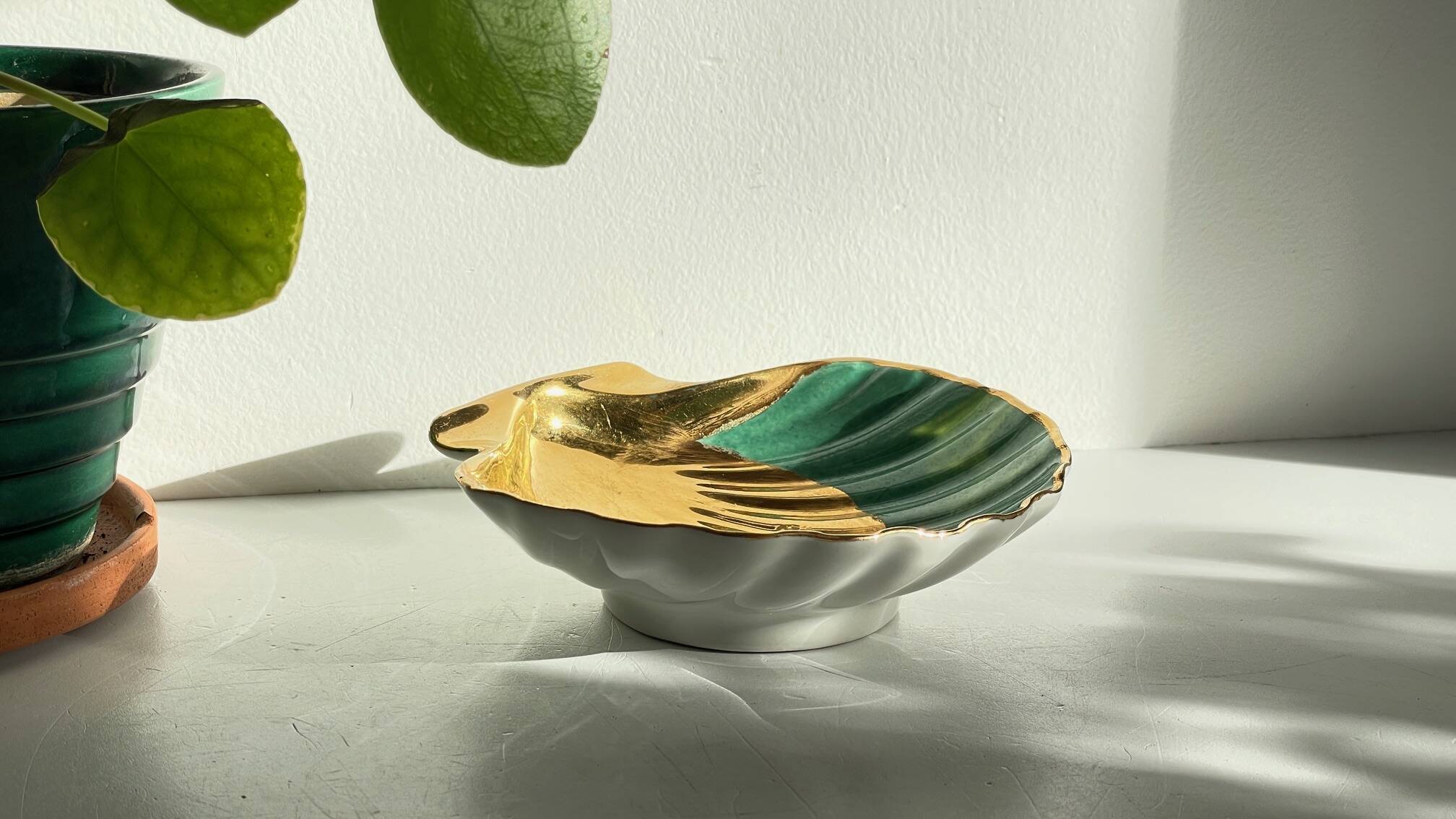 Shell-shaped empty pocket Limoges FRANCE