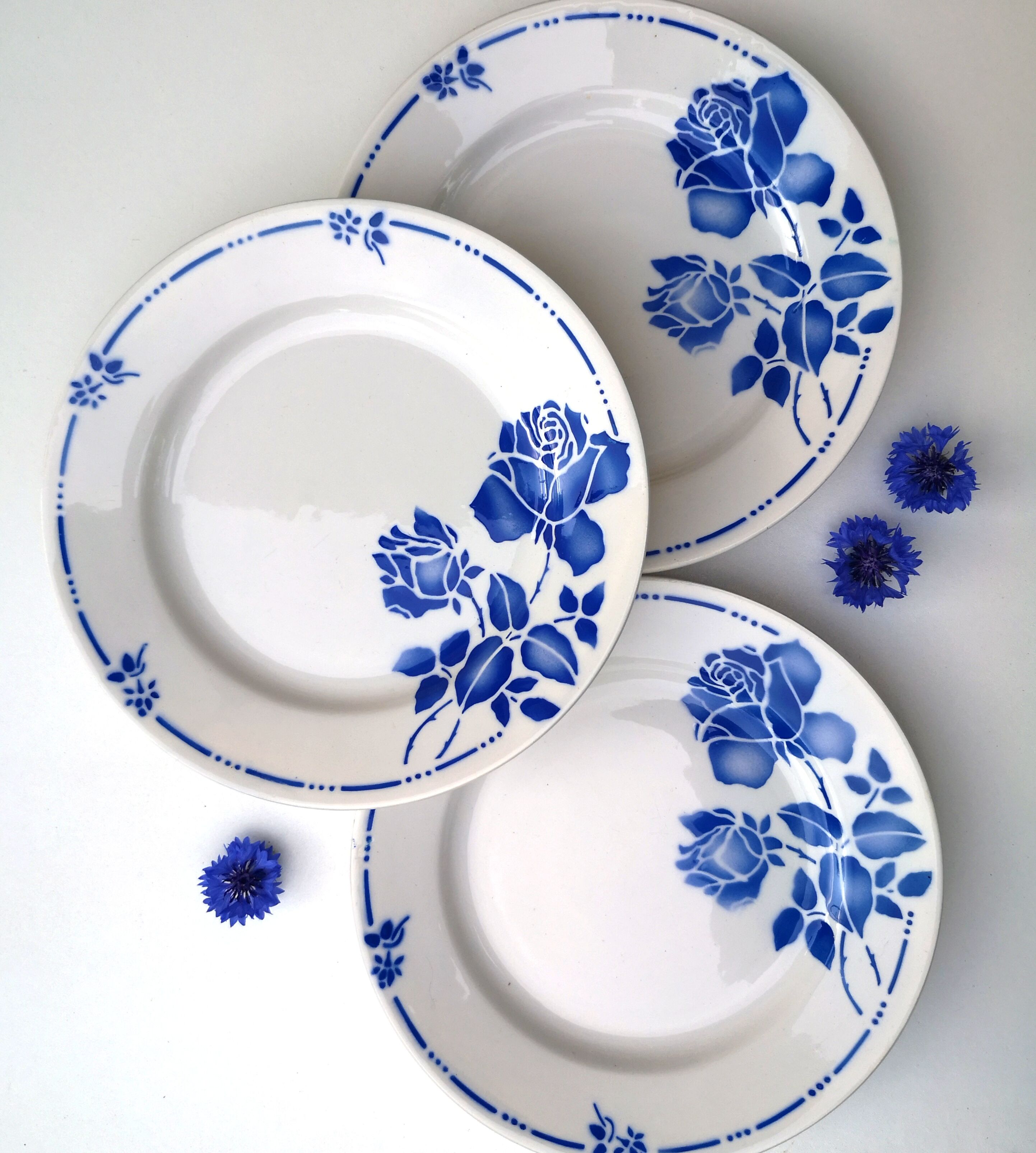 Flat plates Moulin des Loups - St Amand