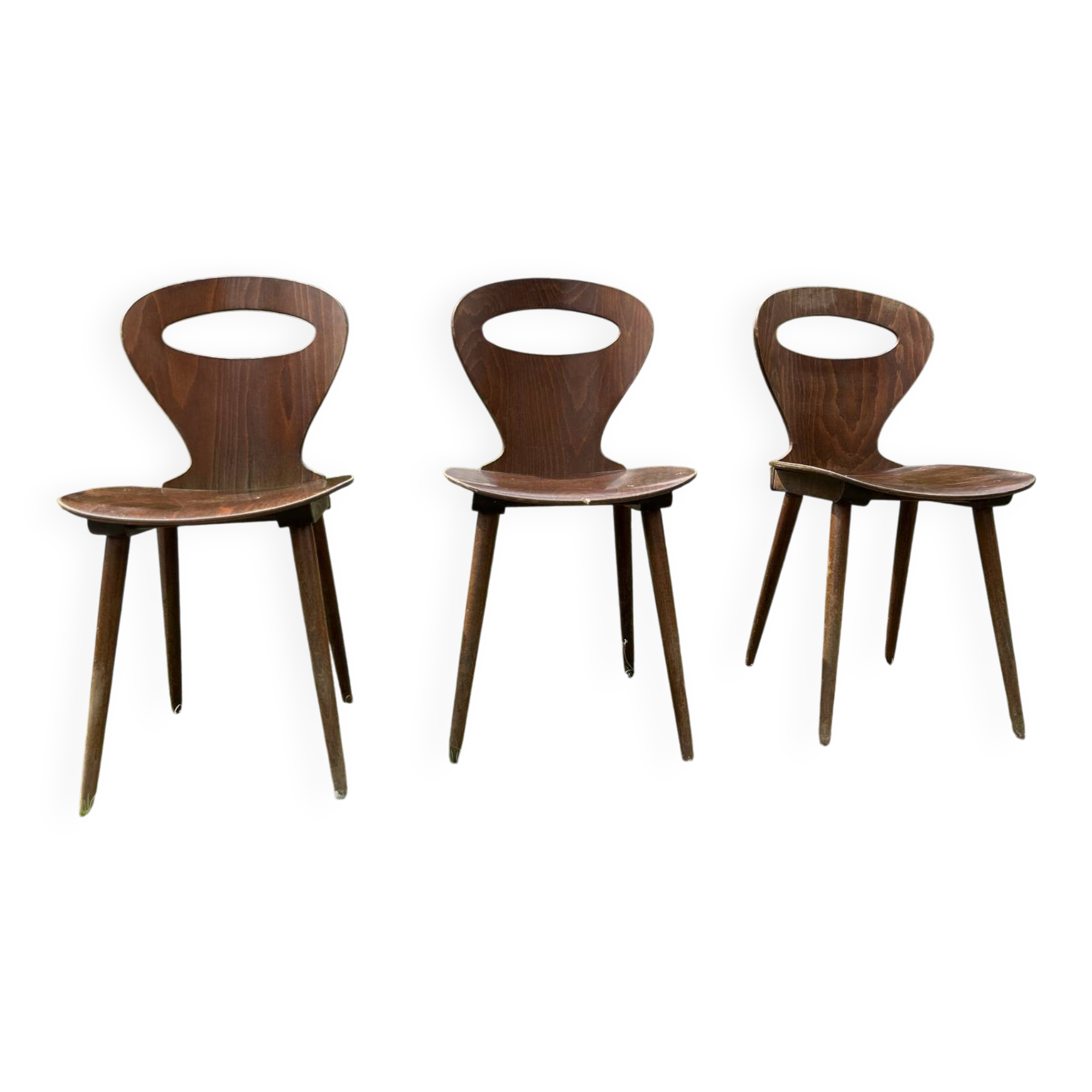 Baumann chair model Ants