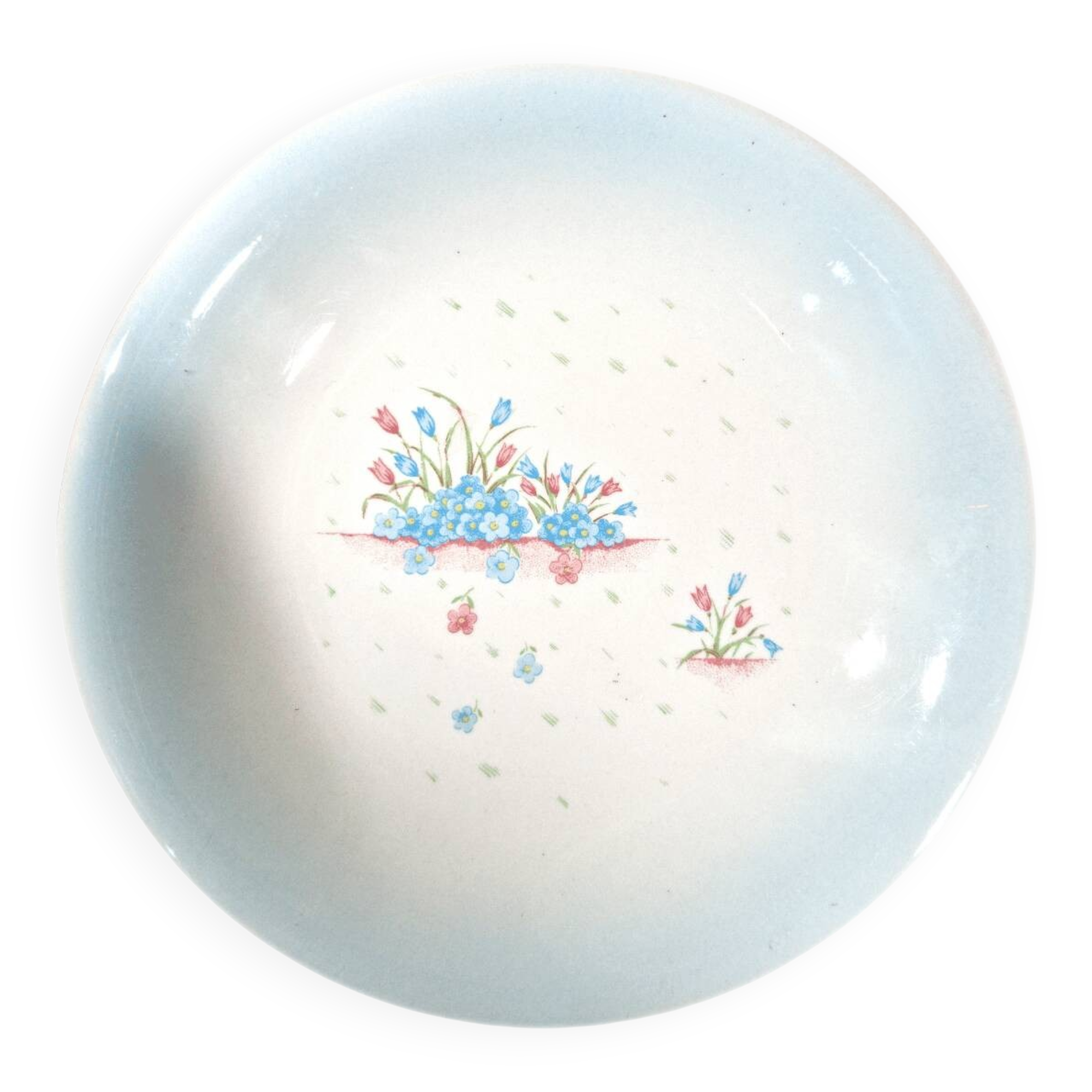 3 assiettes Primula décor Myosotis