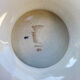 Gien compotier in fruit white ceramic