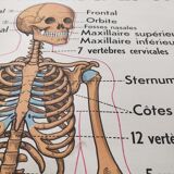 School map and wooden frame MDI Human body