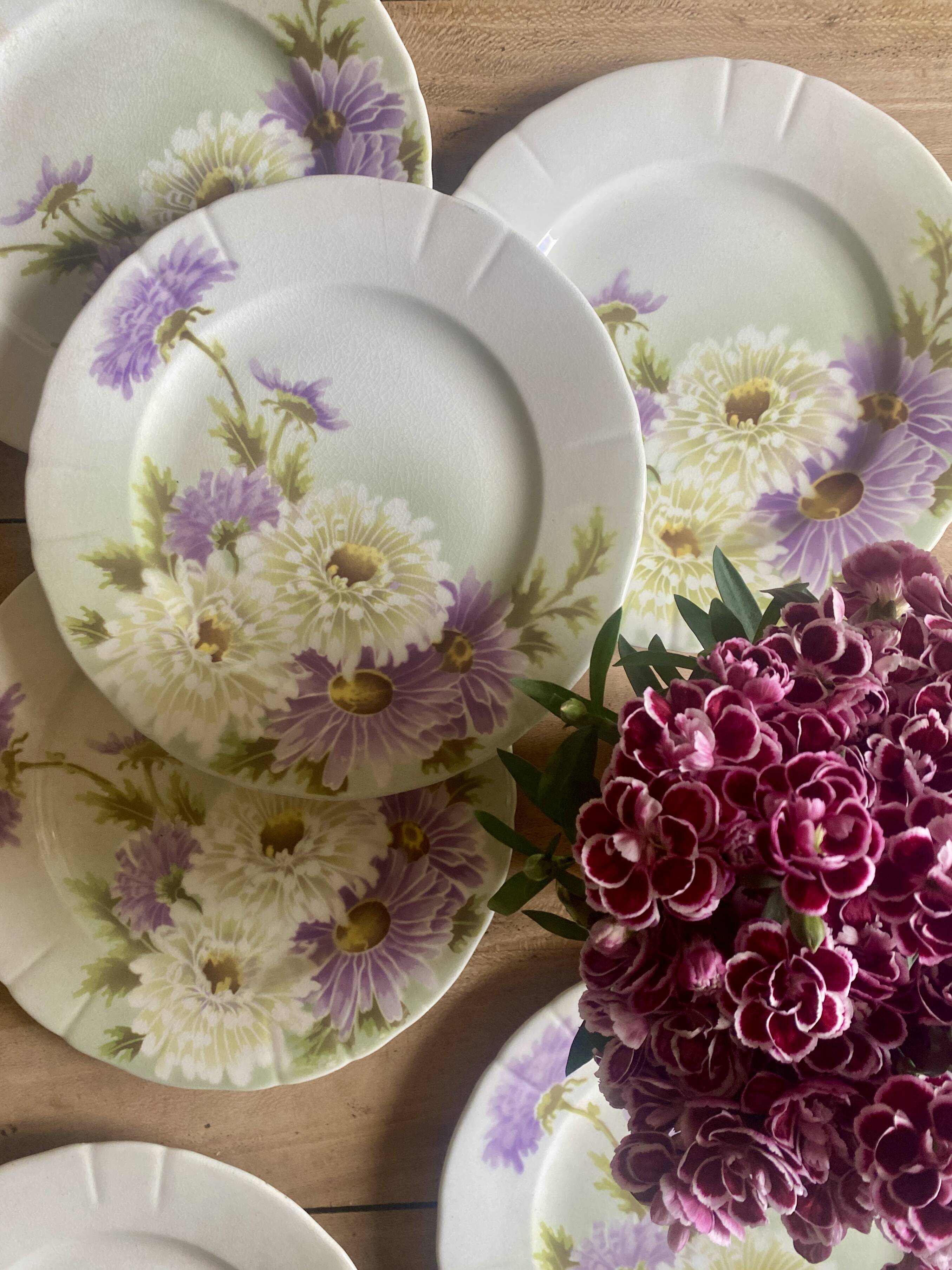 Set of 6 old flat plates - Reine Marguerite de KG Lunéville -