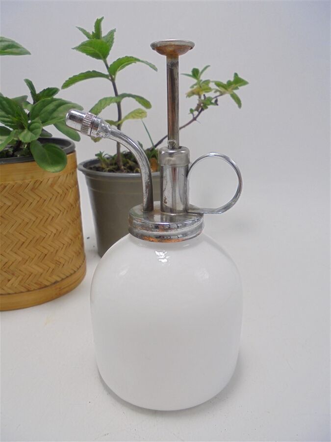 Plant vaporizer
