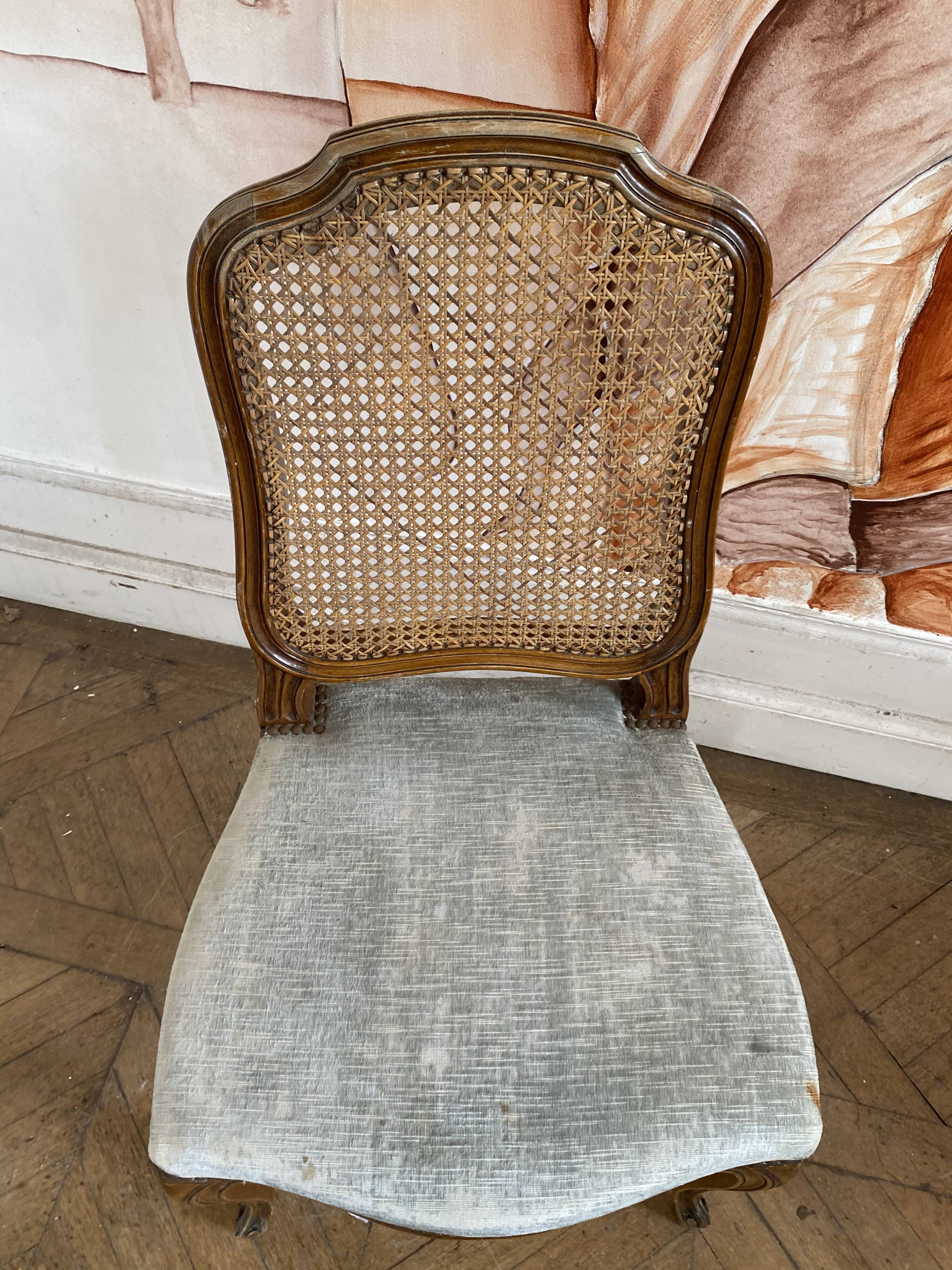 Canned chair Louis 15 style