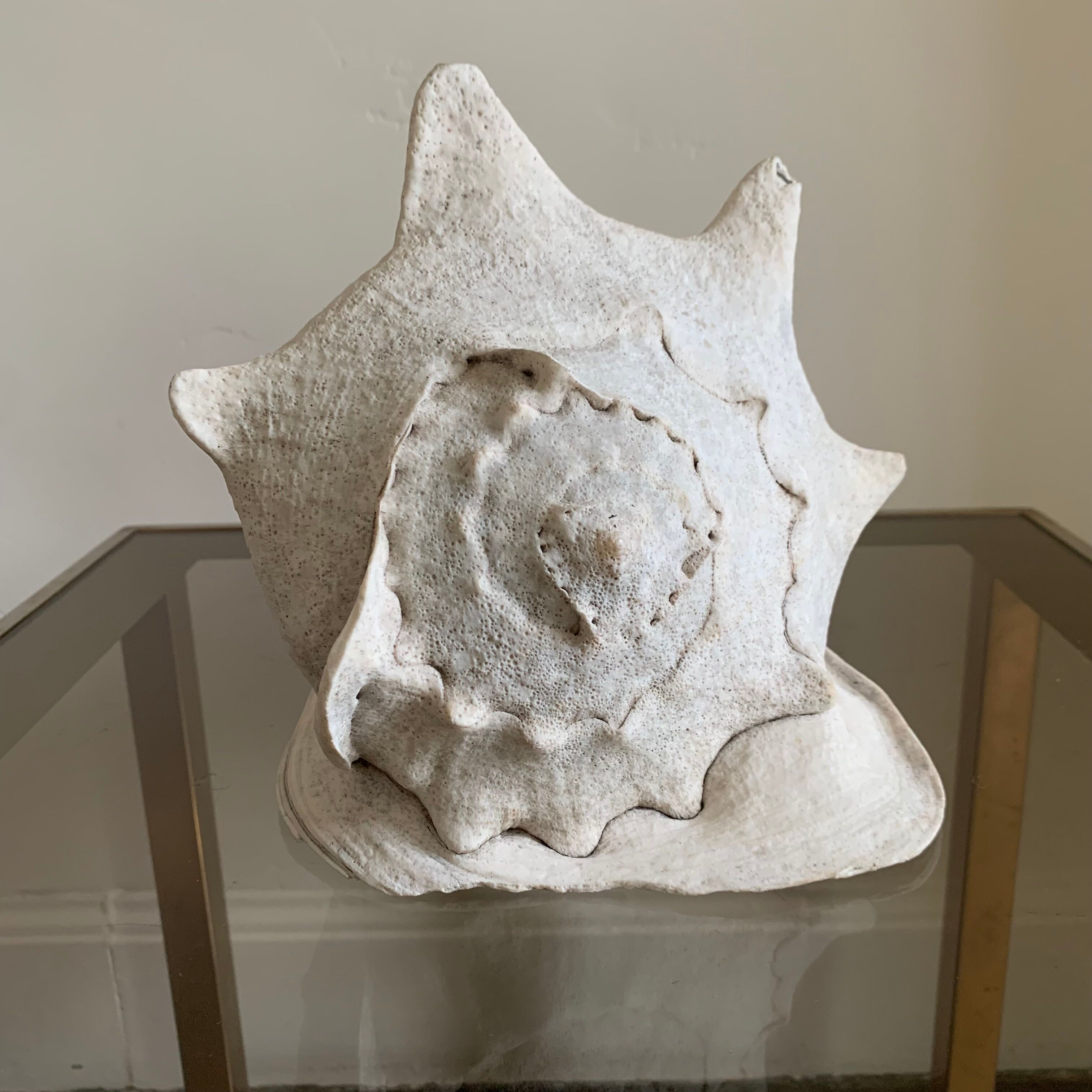 Shell horned helmet 30 cm