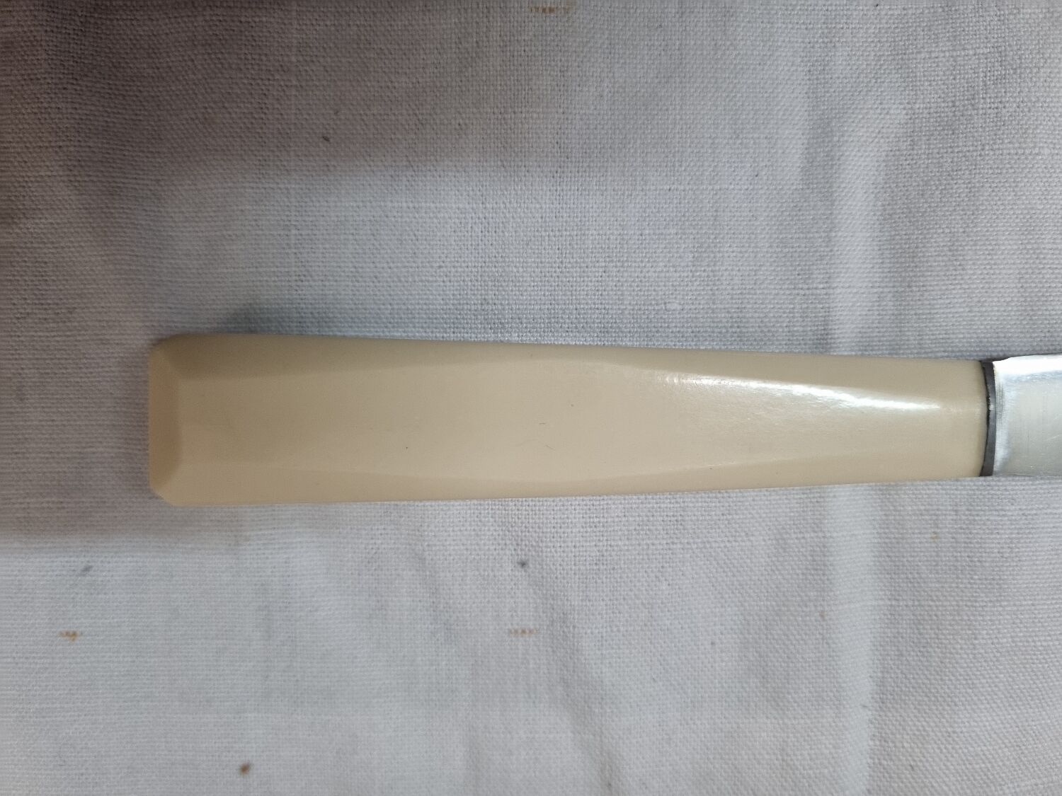 12 ivory Bakelite meat knives