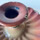 Old candle holder in brown enameled metal