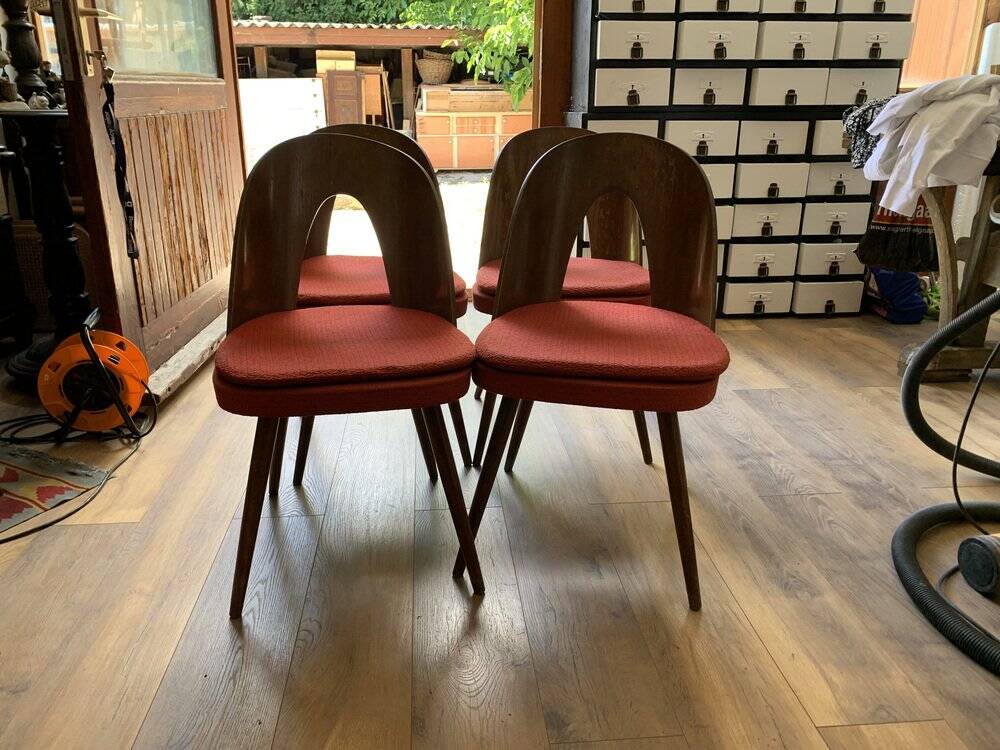 Set de 4 chaises mid-century en hêtre marron, assise tissu rouge — Antonín Šuman (1960s)