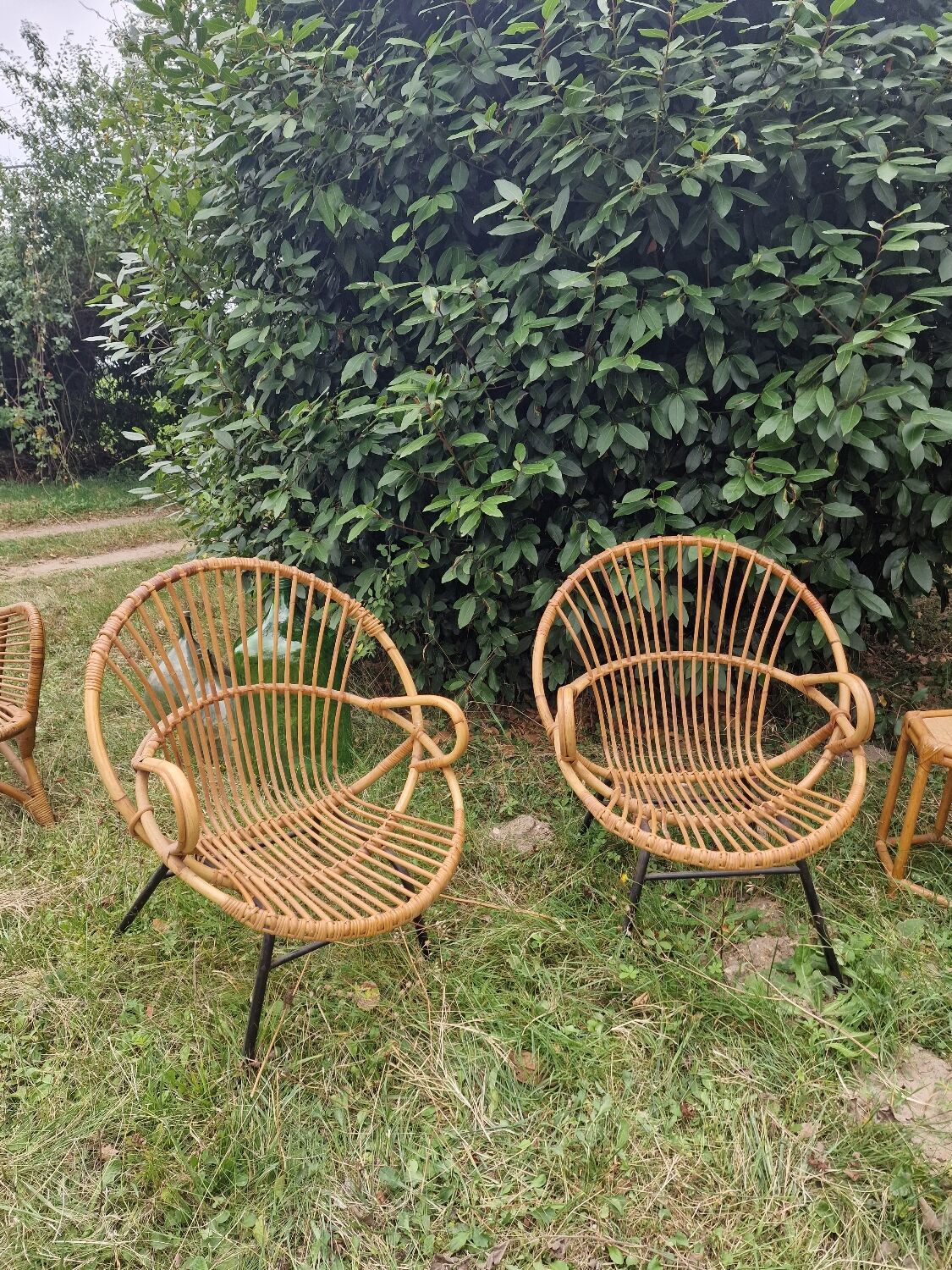 Paire de fauteuils coquille en rotin pieds acier