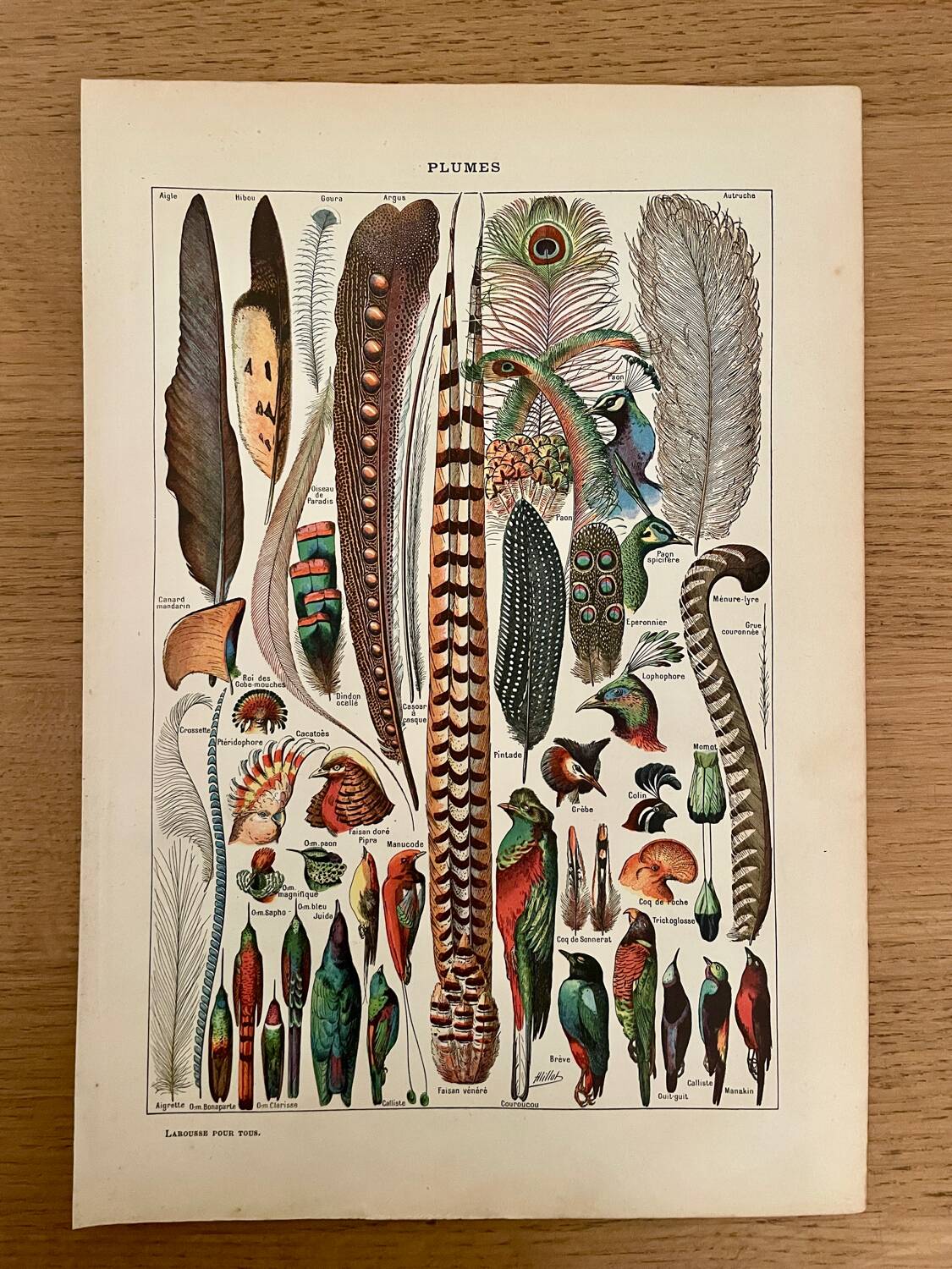 Réserve Audrey - Lot de 6 lithos XXe