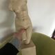 Bust of Aphrodite in plaster