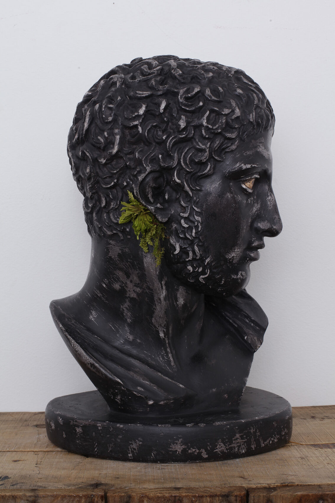 Greek head in waxed black plaster