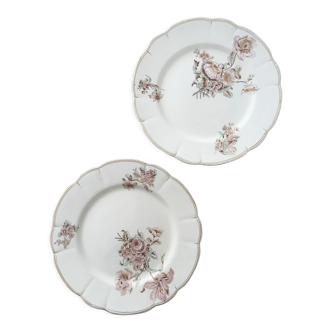 Pair of flat plates iron earth