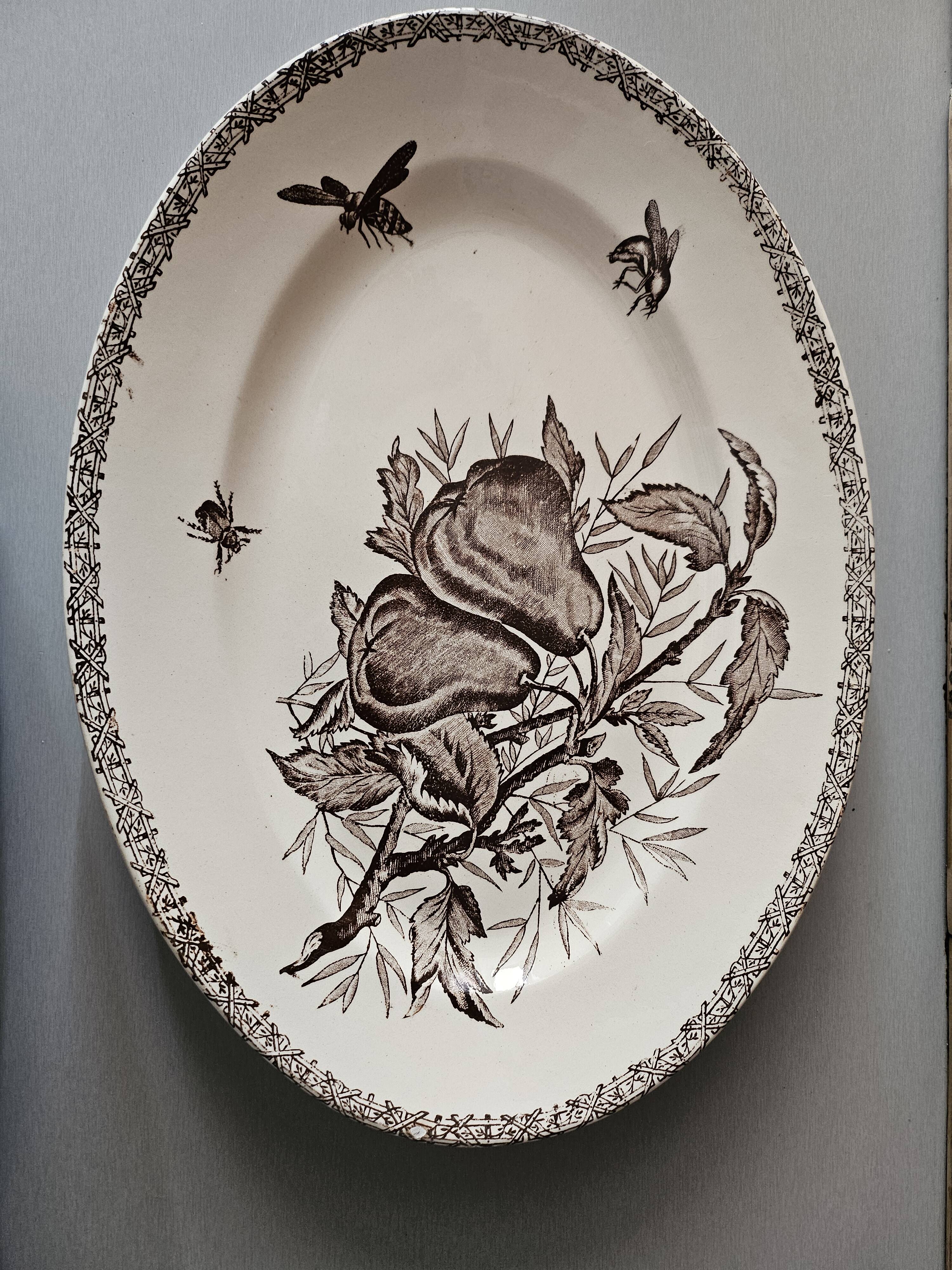Large antique oval dish Terre de Fer – decoration of apples and insects