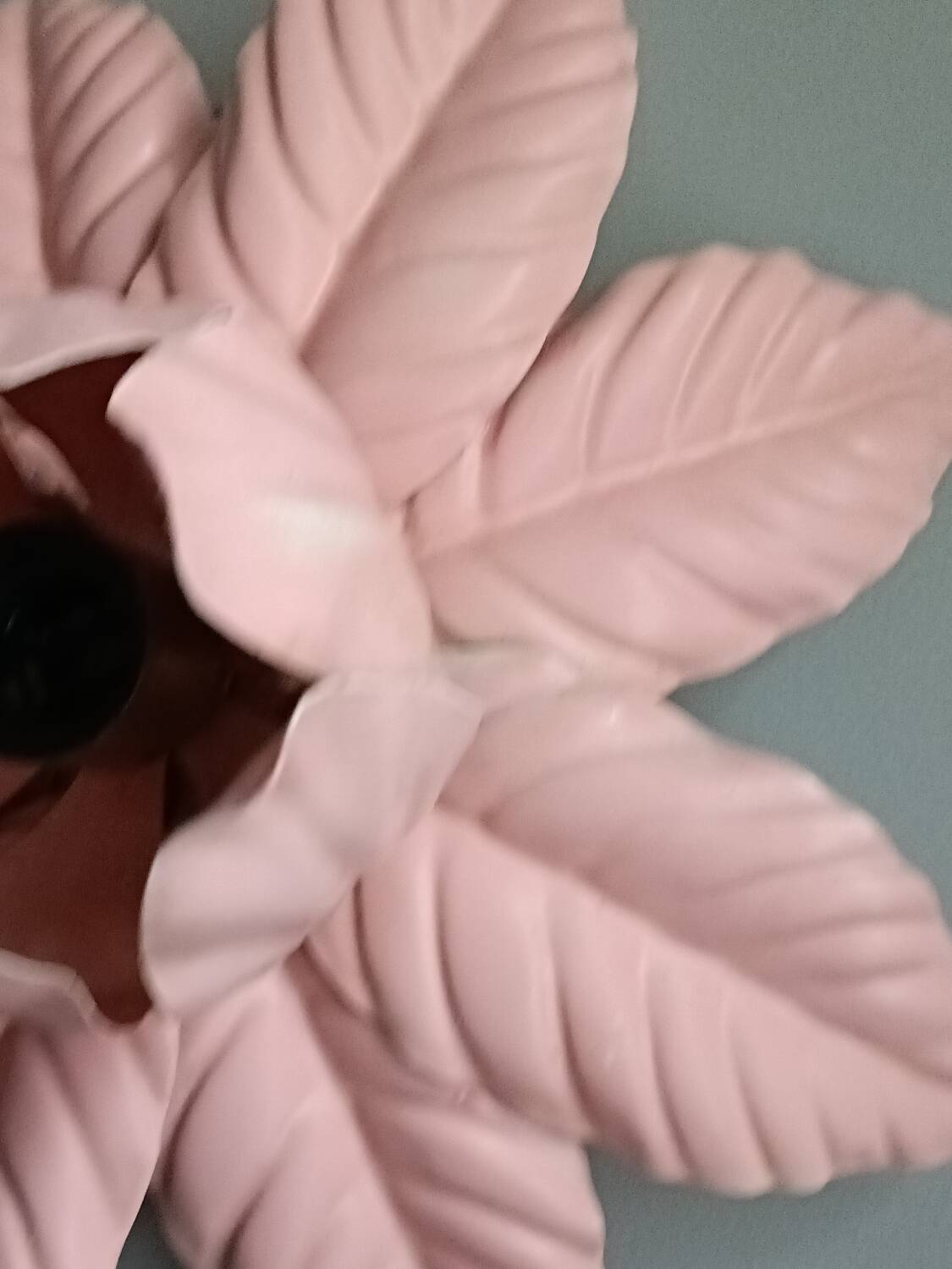 Vintage pink flower wall light