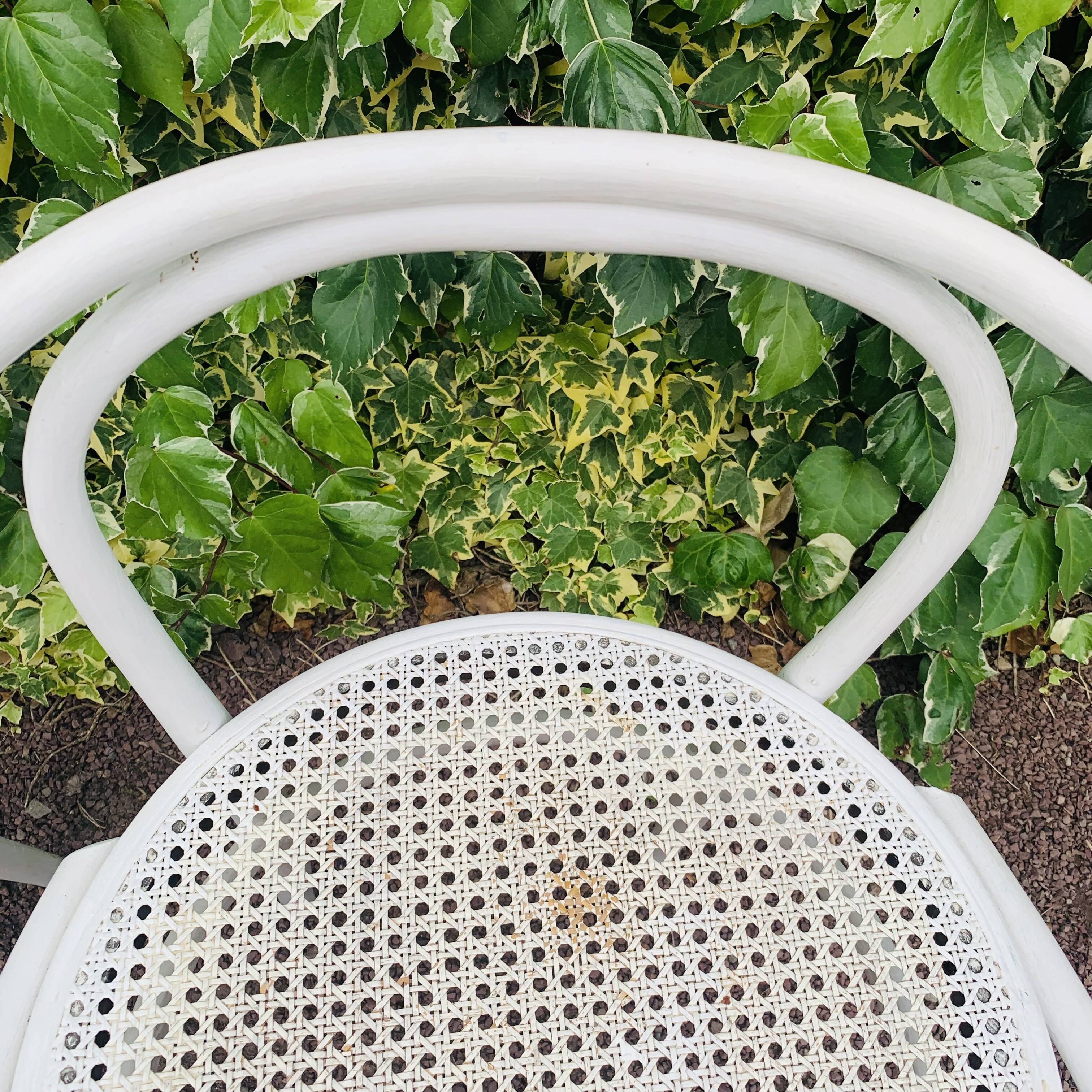 Antique pair of Italian Salvatore Leone chairs