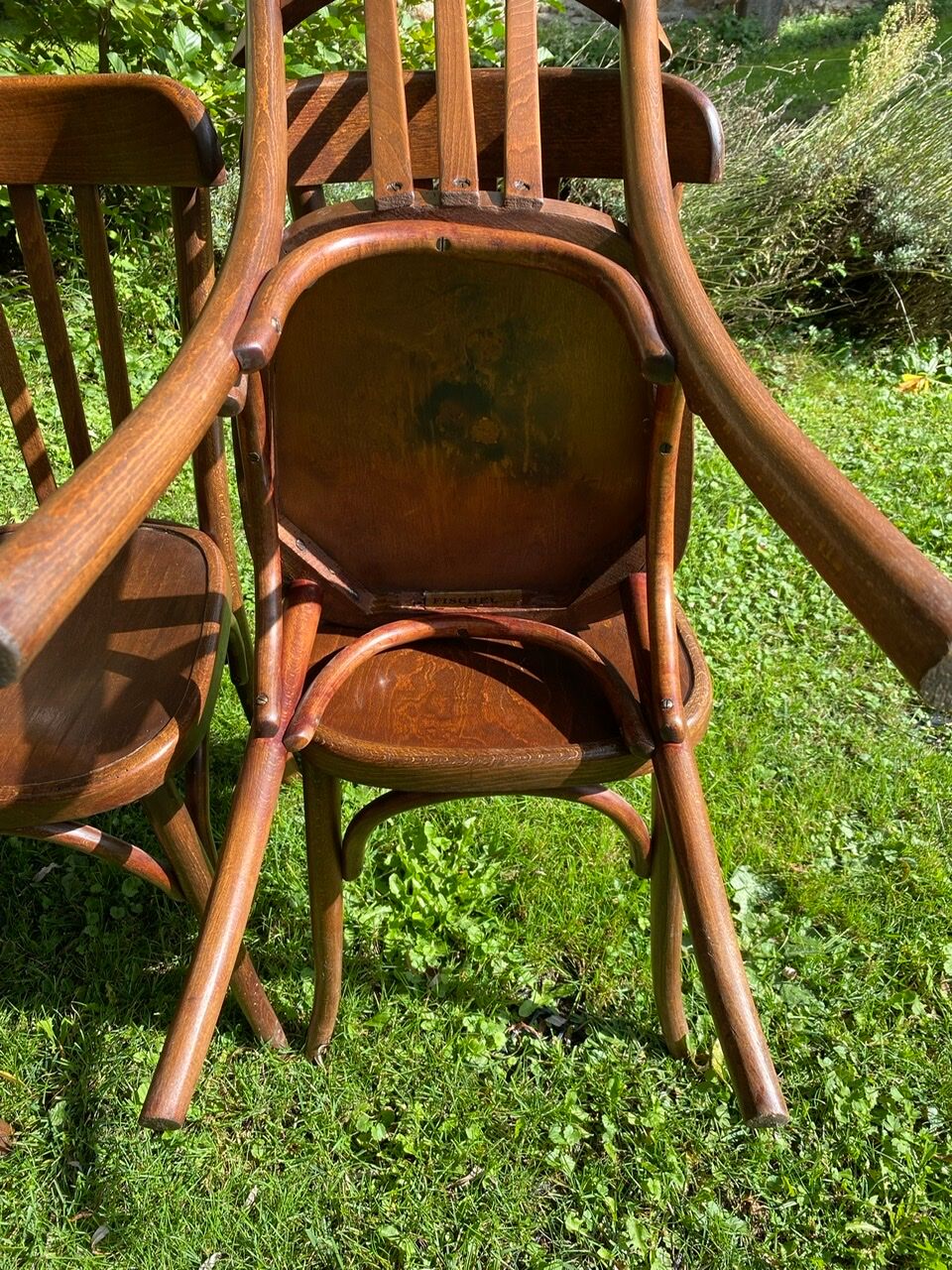 Set of 6 chairs bistro Fischel early XX century