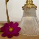 Vintage tulip walker in holophanous glass