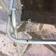 Lot 2 vintage camping chairs