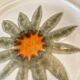 Vintage dessert plates, hand painted flower pattern