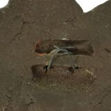 Flowers Artwork Bas Relief Paul Vermeire Perignem