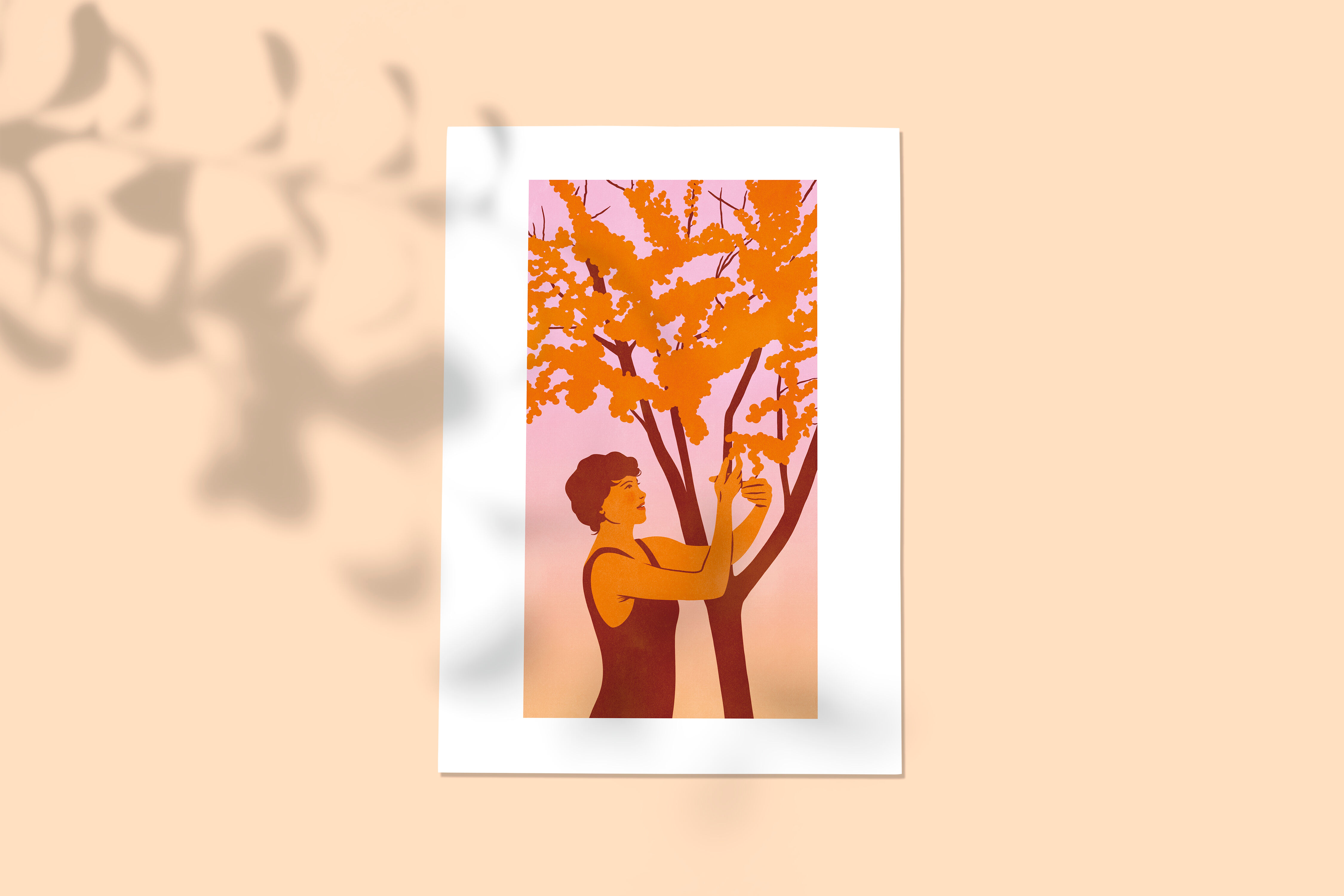 Sea buckthorn picking