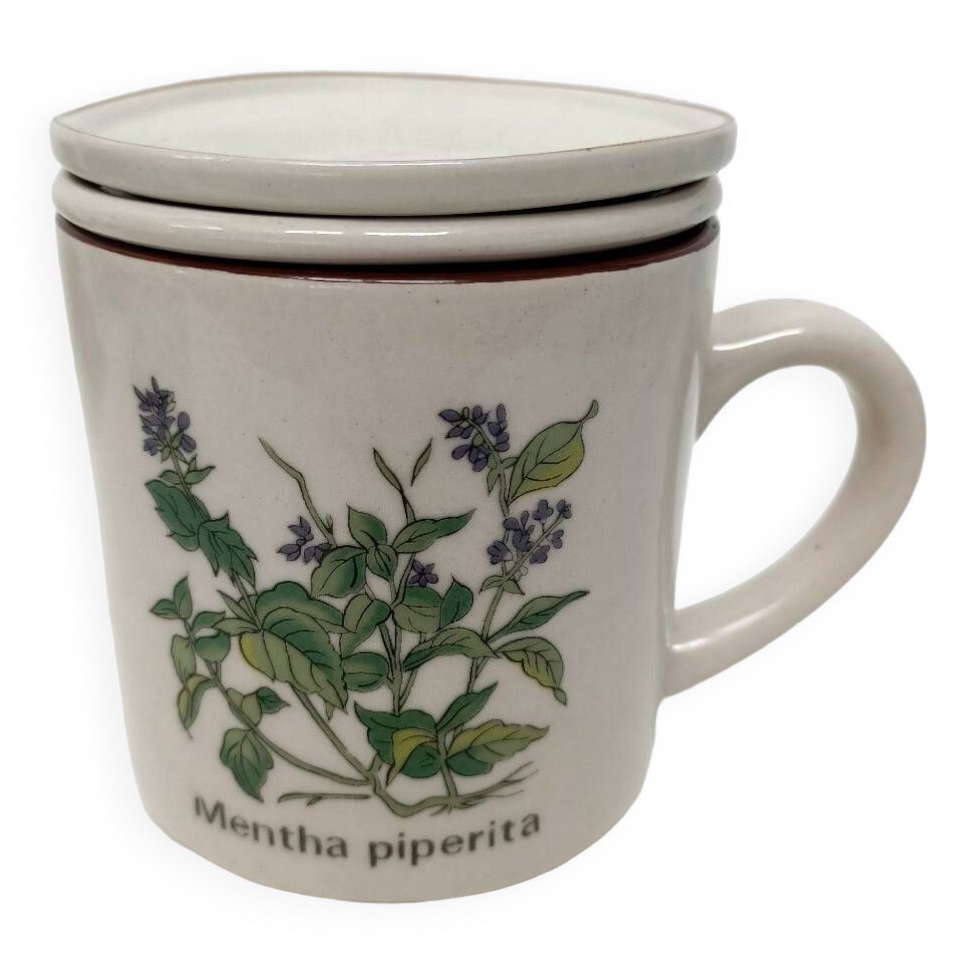 Peppermint herbal tea maker