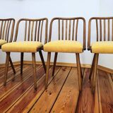 Dining Chairs attributed to A. Suman for Tatra Nabytok, Czechoslovakia, 196