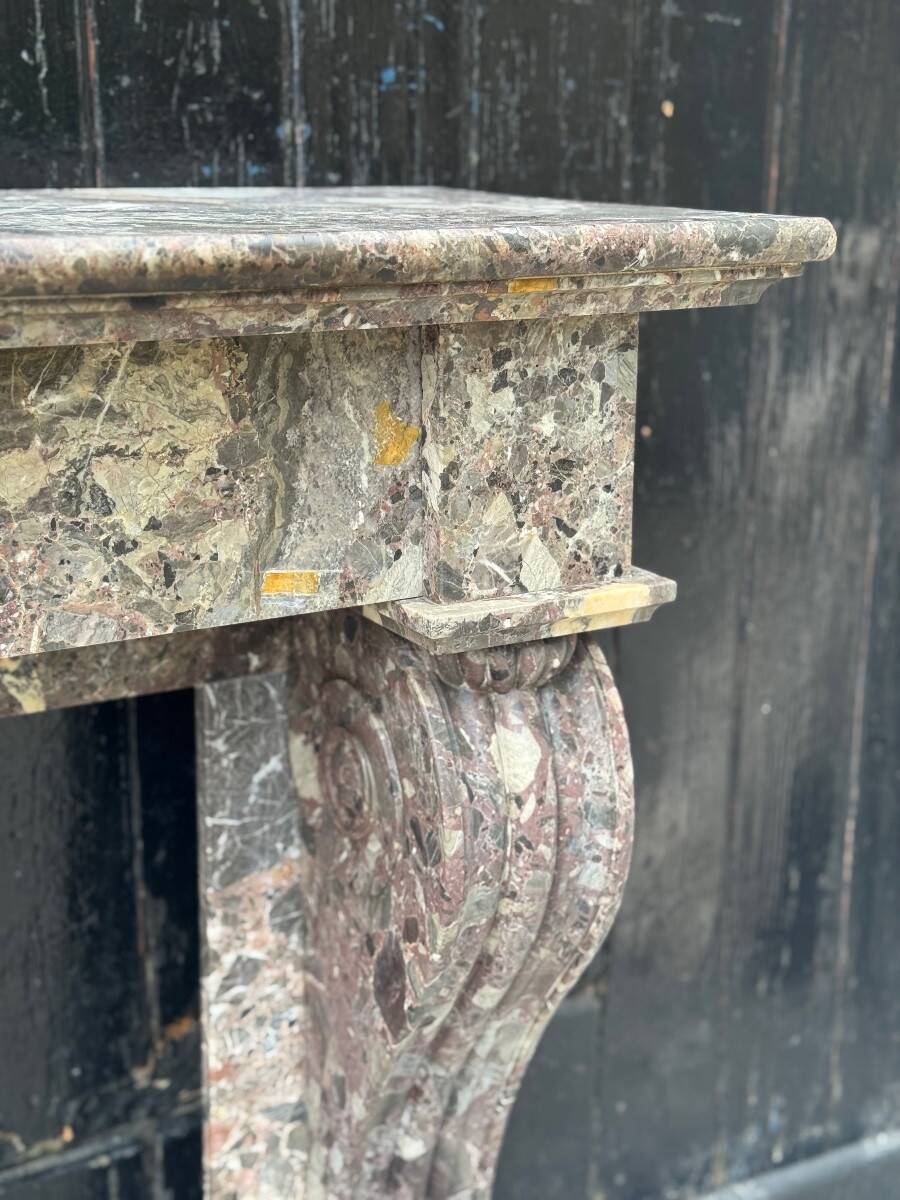 Charles X fireplace in Waulsort marble, early 19th century