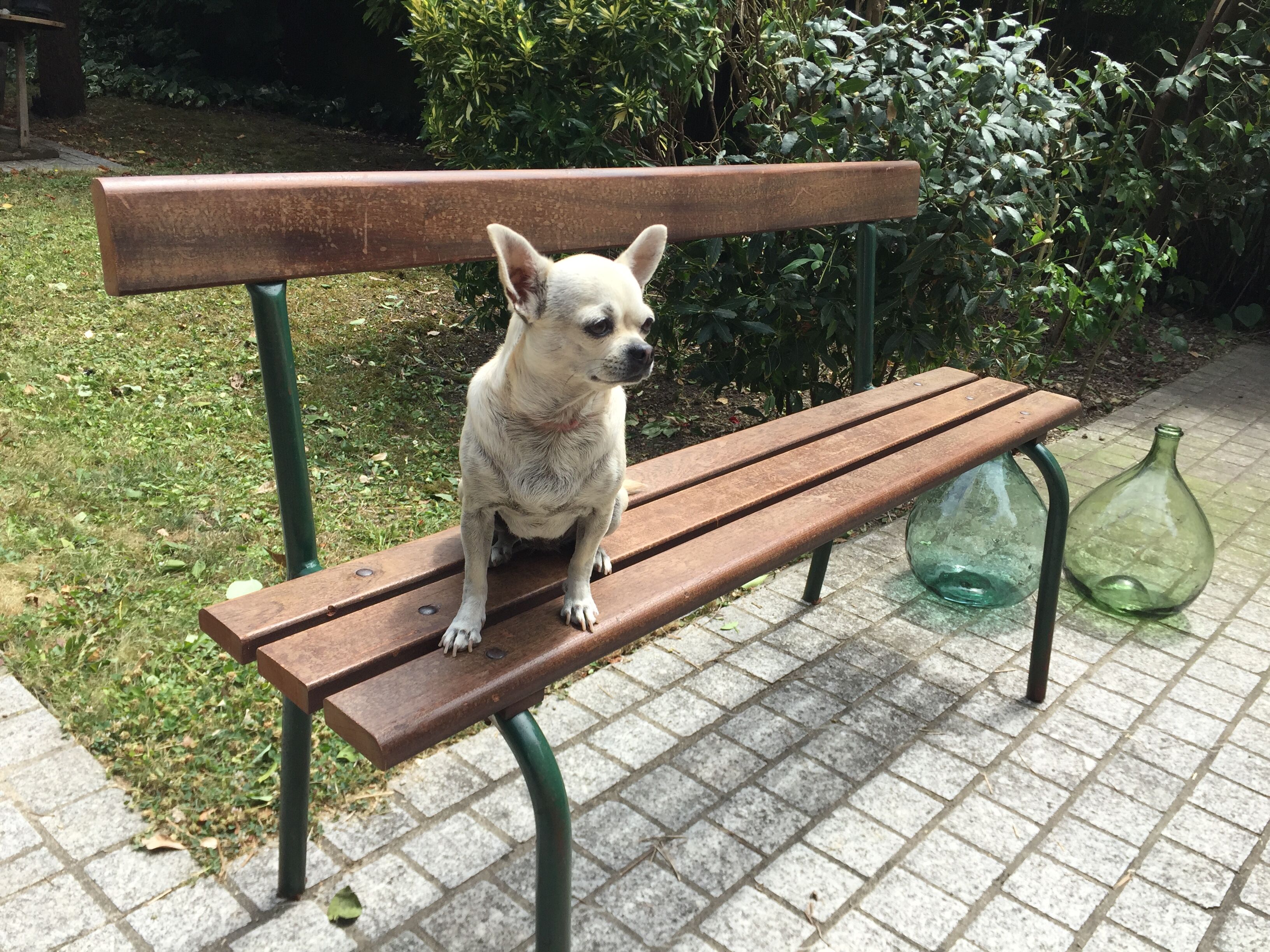 School bench with backrest