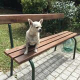 School bench with backrest