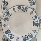 Assiettes terre de fer