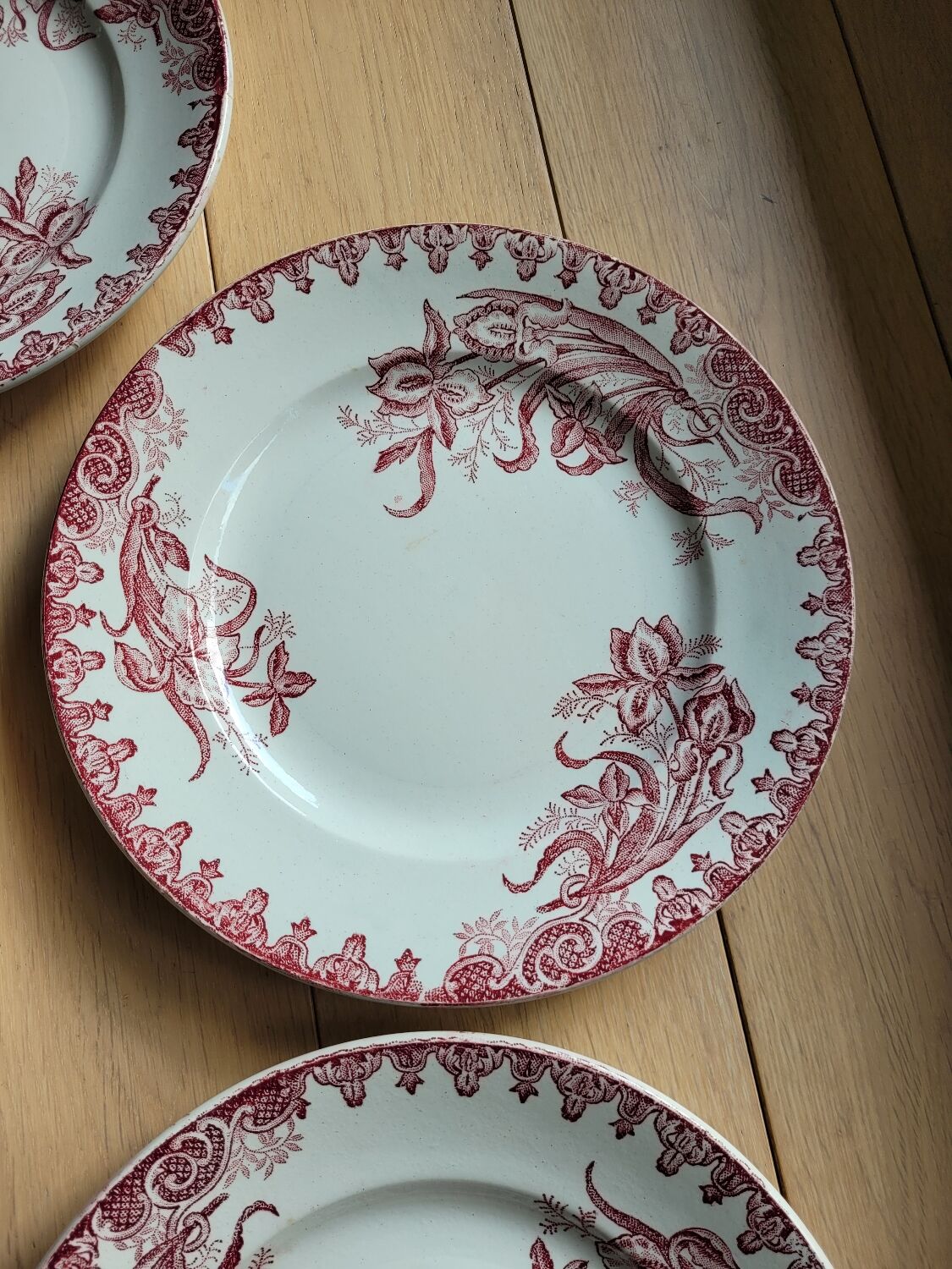 Lot de 5 assiettes plates Terre de fer Ste Amandinoise Iris