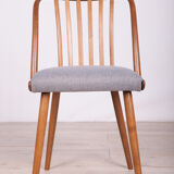 Dining Chairs by Antonín Šuman for Ton, 1960s, Set of 4