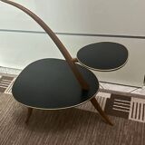 Kidney table