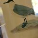 Bitterness birds