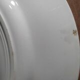 Flat plates blue flower Badonviller