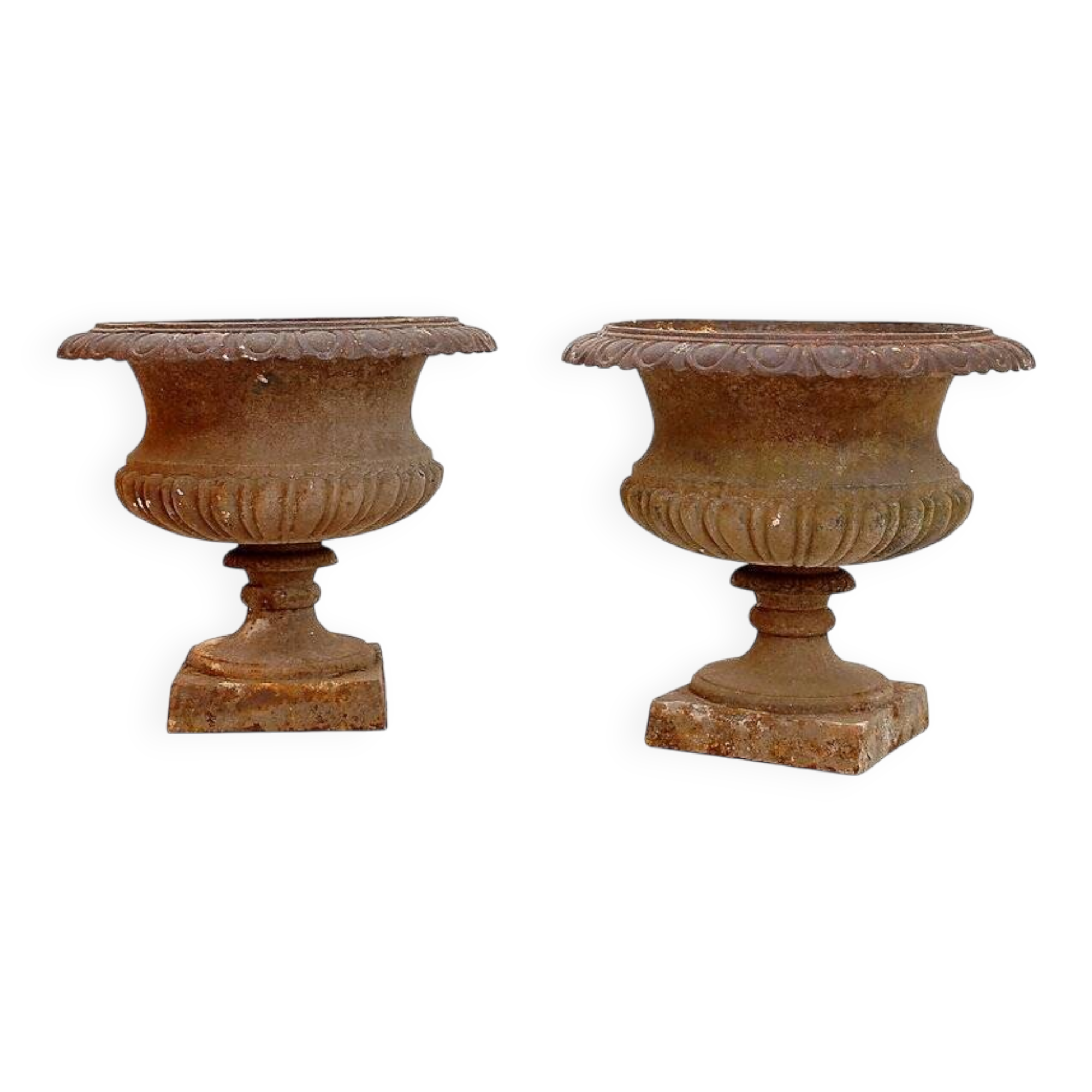 Pair of Medici cast iron planters - Late 19th century