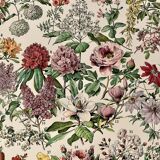 Lithograph on flowers (trees and shrubs) - 1920