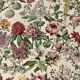 Lithograph on flowers (trees and shrubs) - 1920