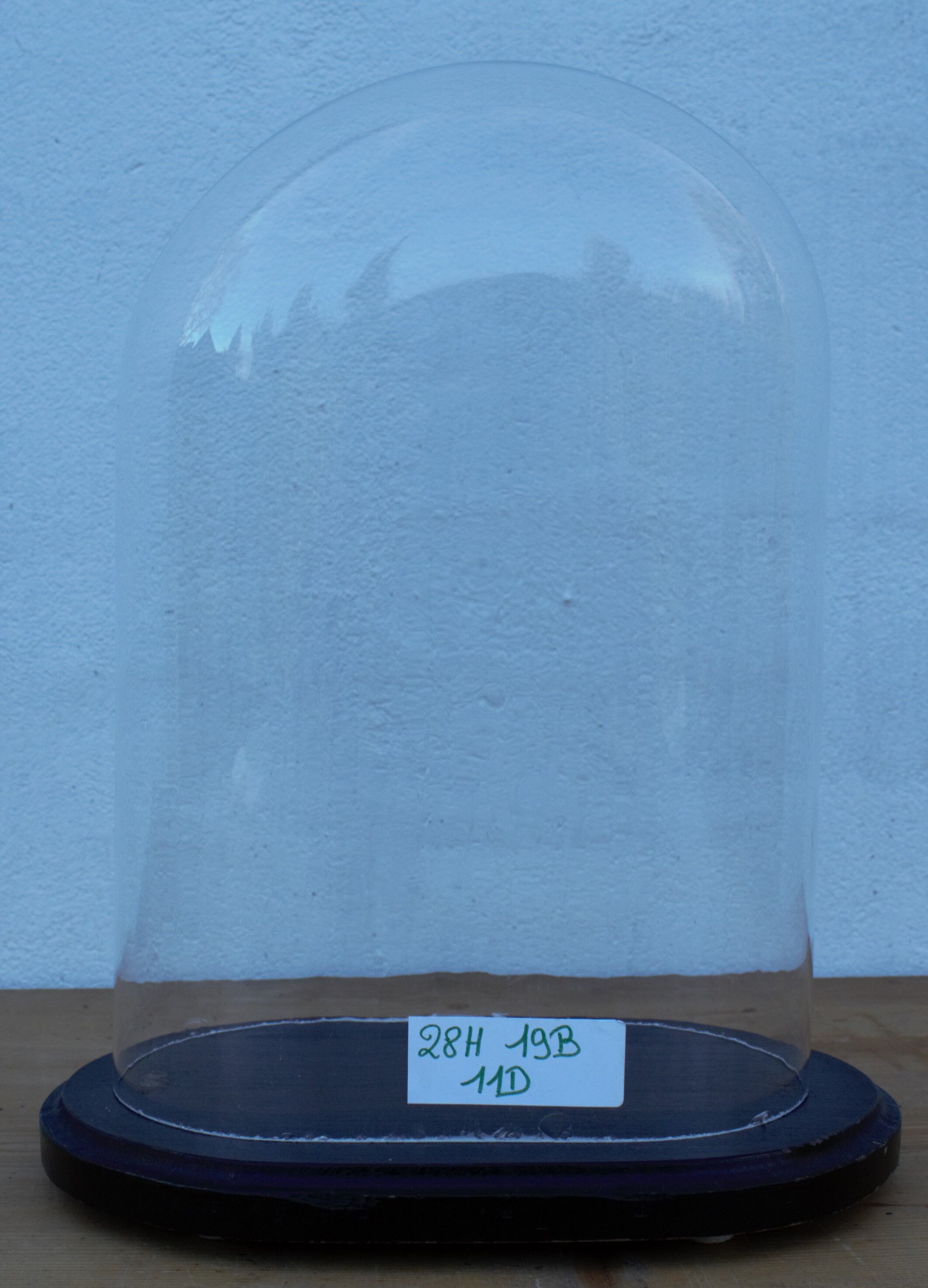 Old oval glass wedding globe 28 cm high glass bell